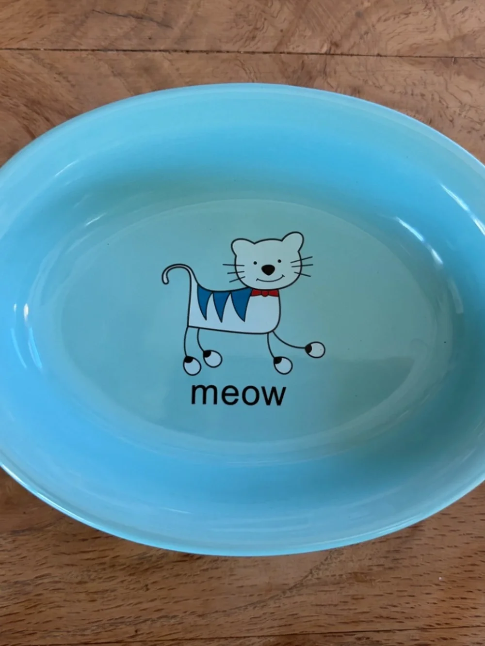 🐱 Whisker City “Meow” Cat Dish Bowl | Aqua Blue Ceramic Pet Bowl 🩵💚